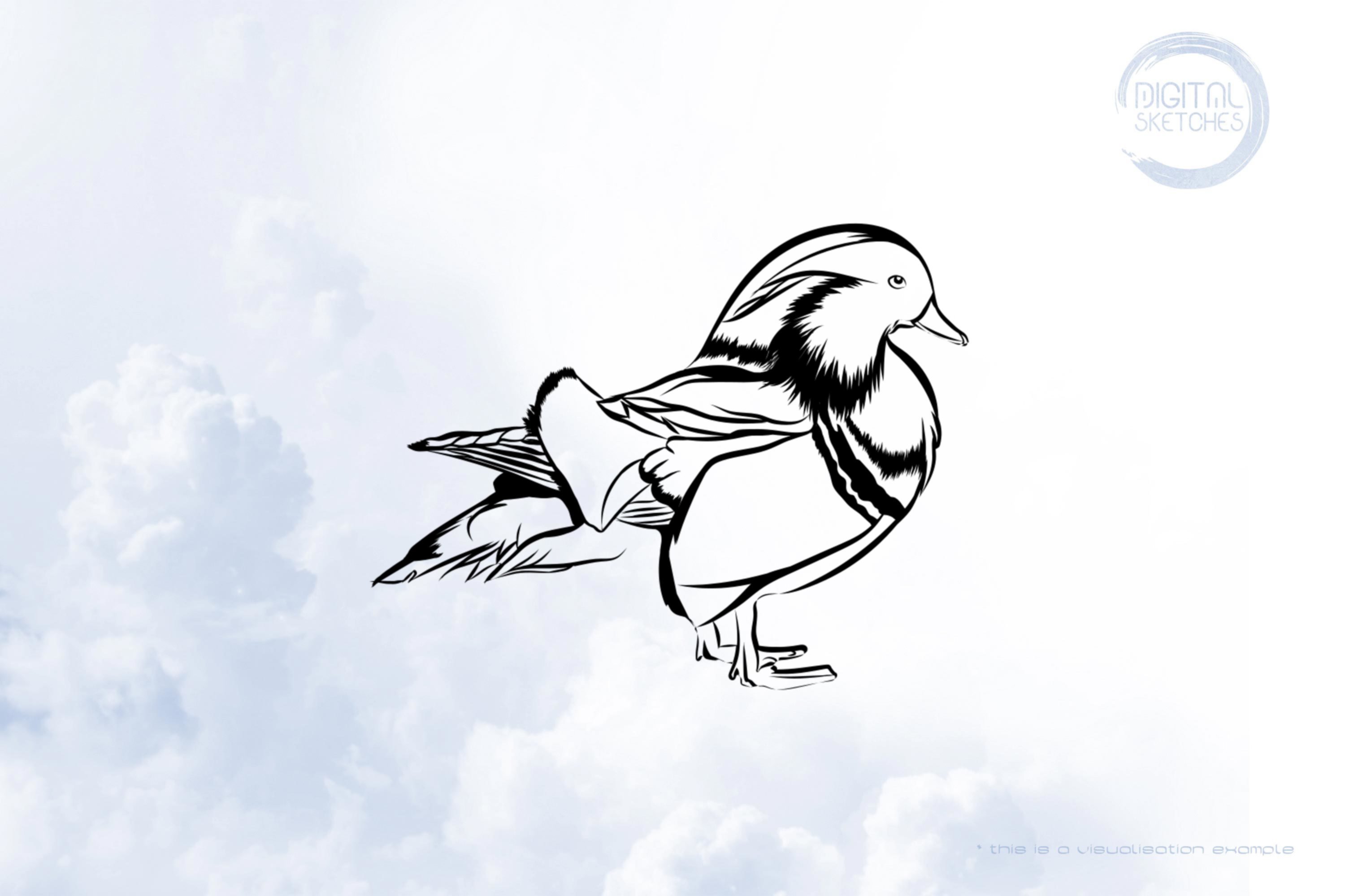 Duck Water Bird Sketch