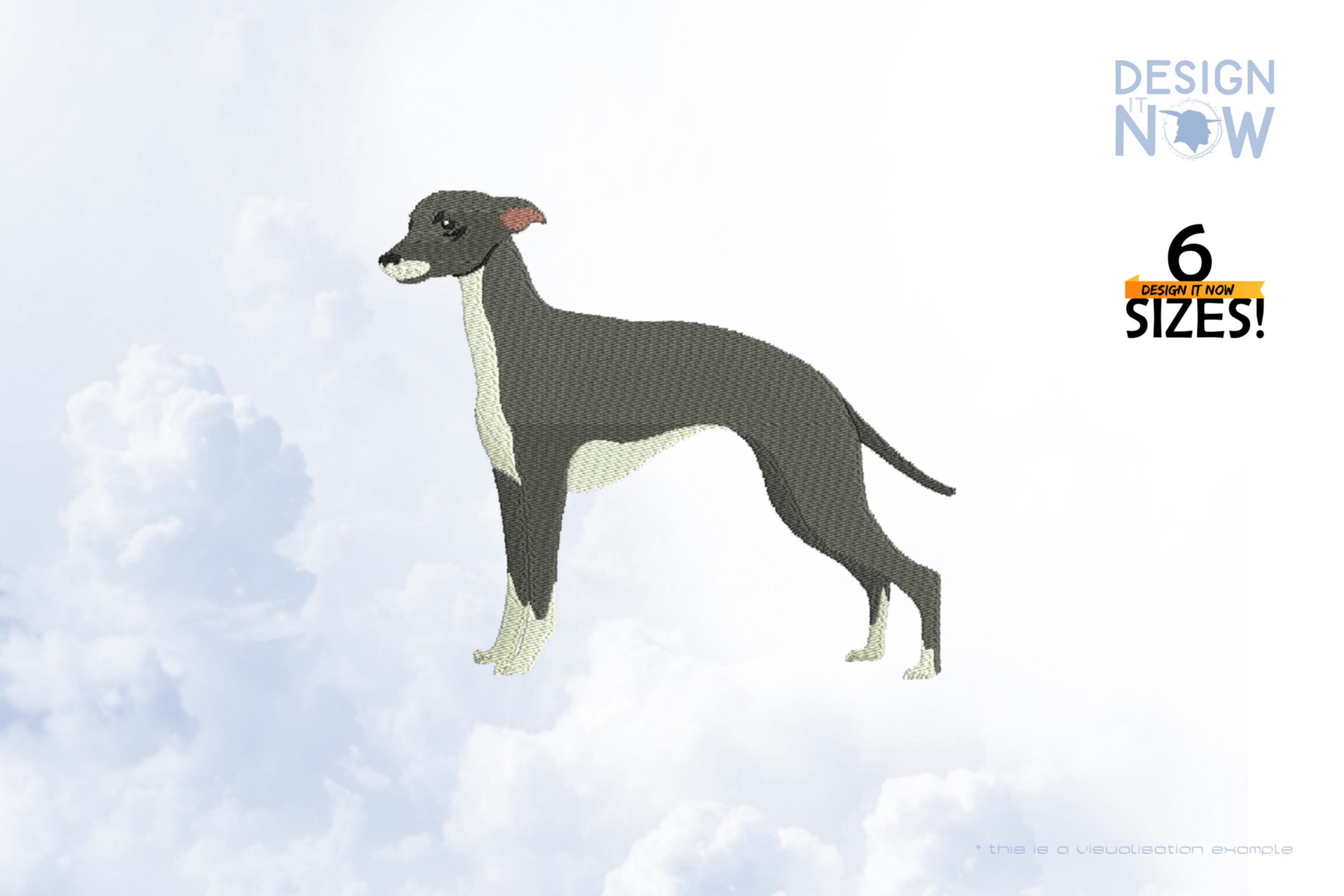 Whippet Sighthound Dog 