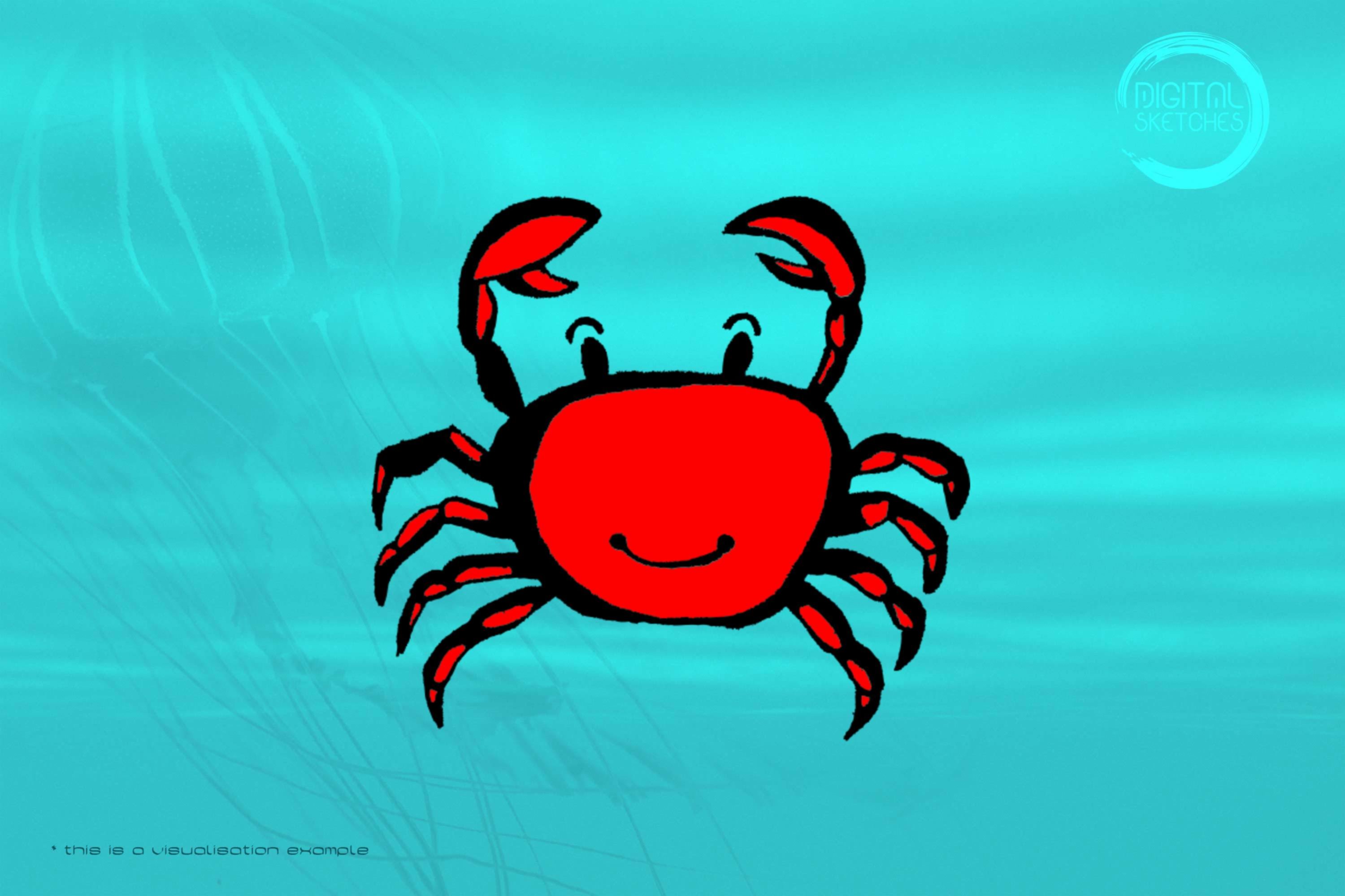 Crab Hand-Drawn 