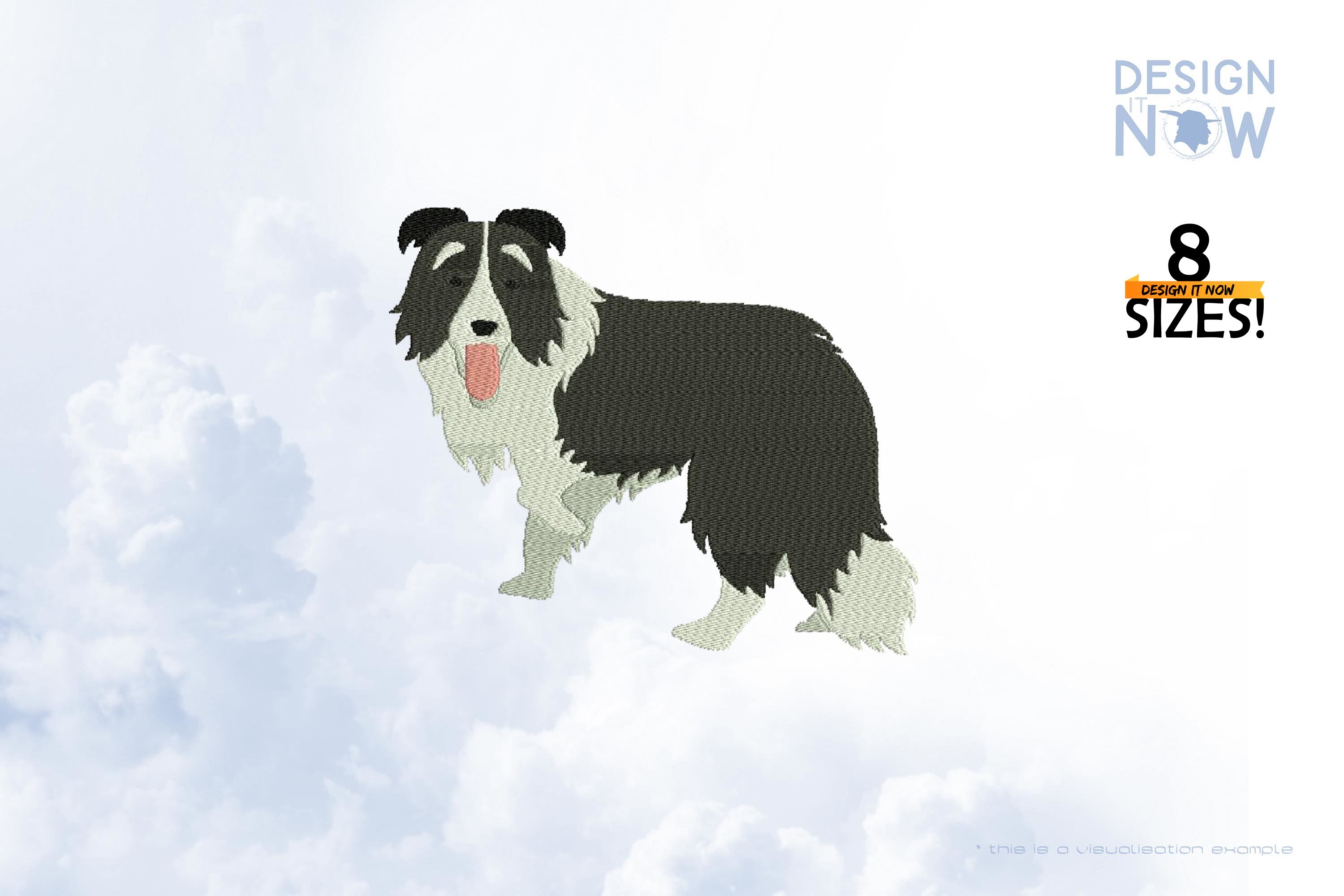 Dog Border Collie