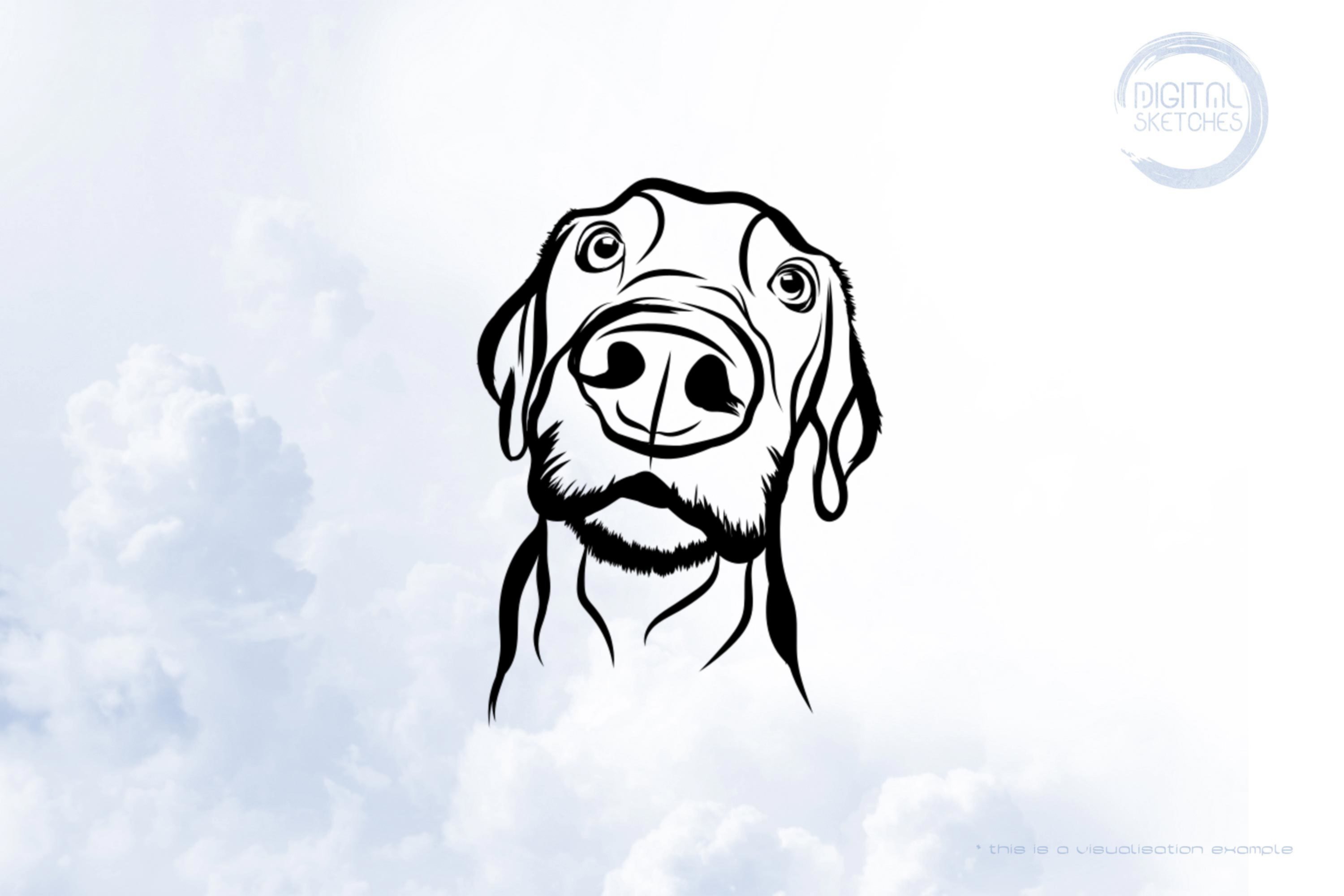 Dog Portrait Sketch