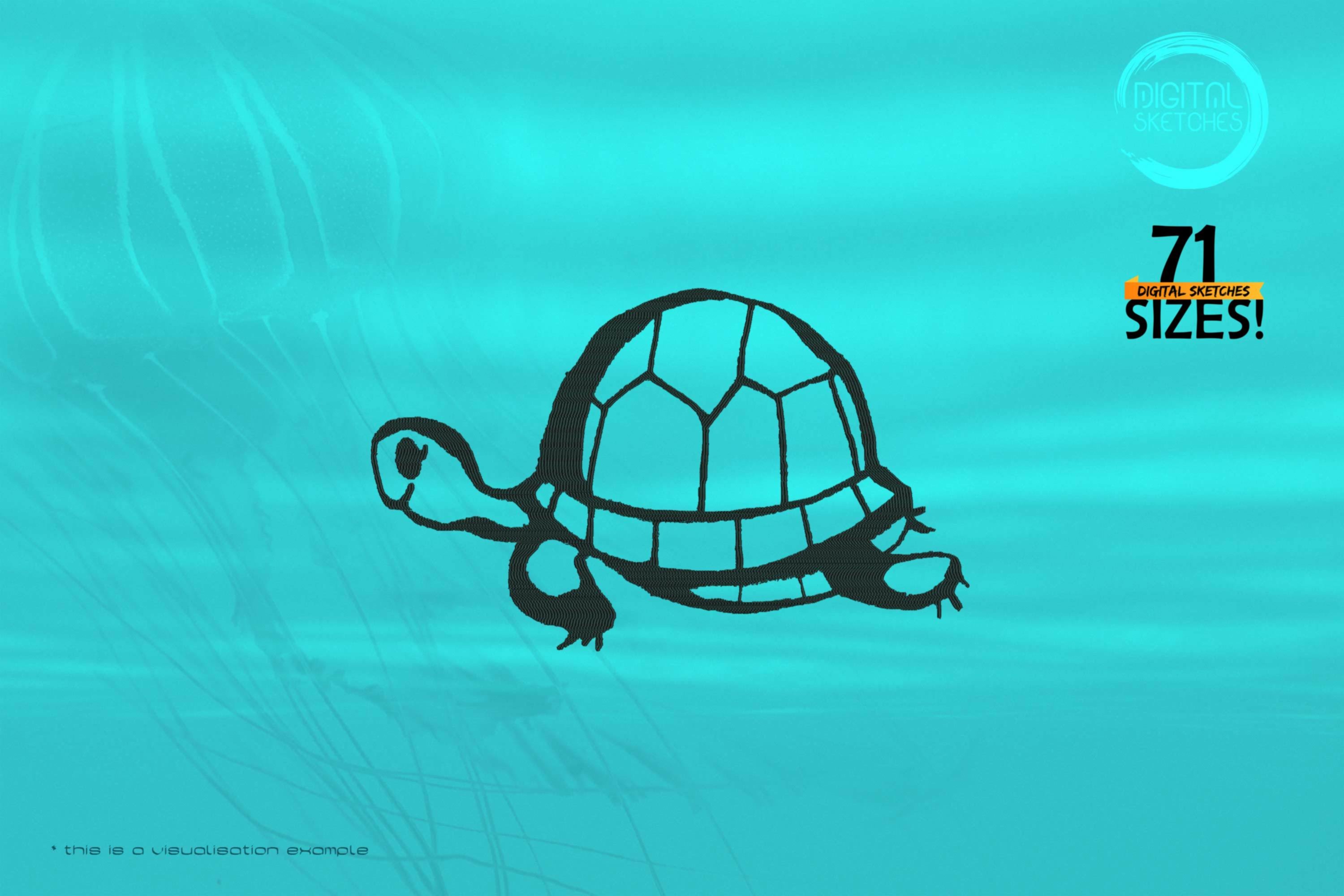 Turtle Sketch
