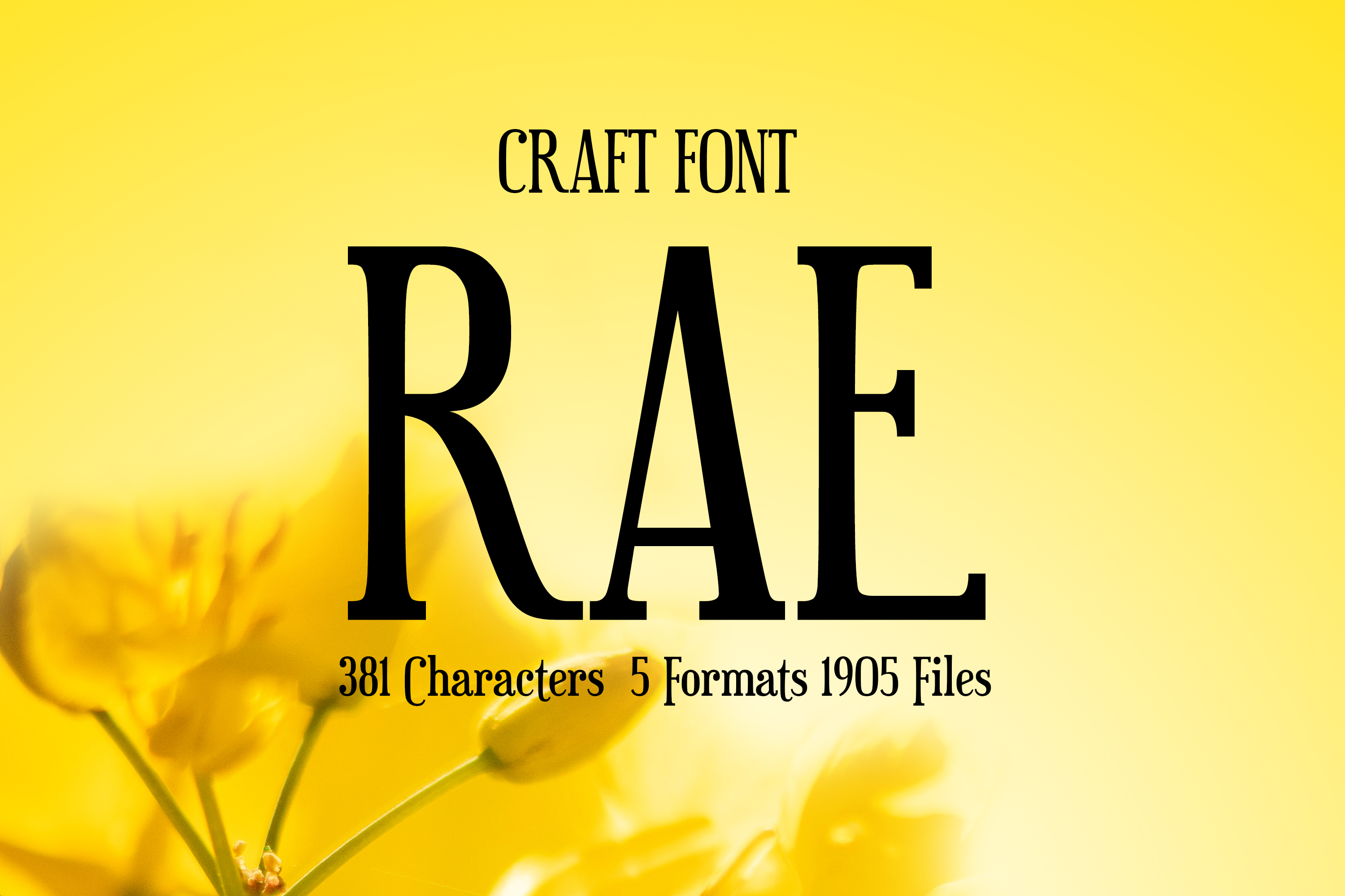 Rae Elegant Thin Serif Font