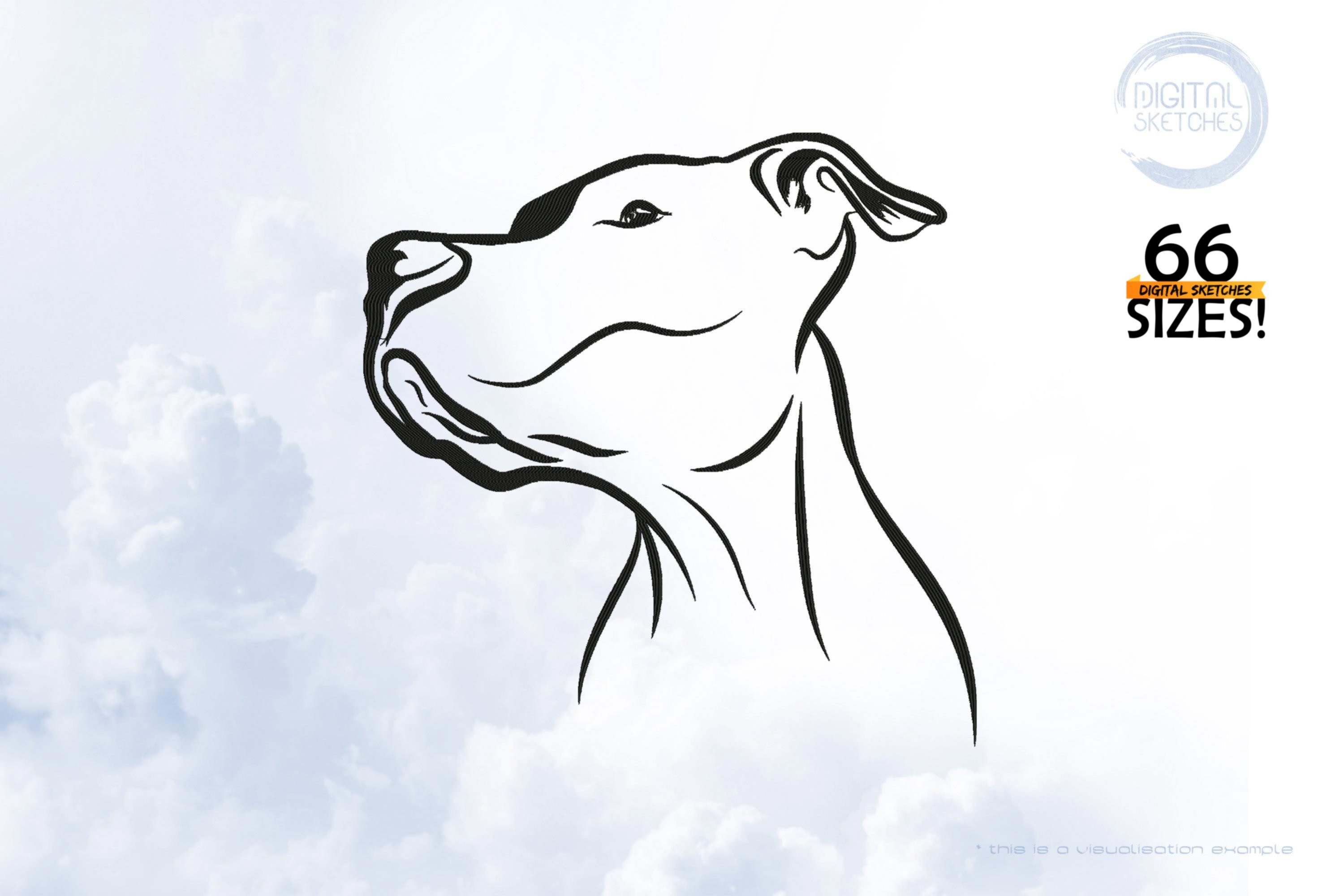 Dog American Staffordshire Terrier Sketch