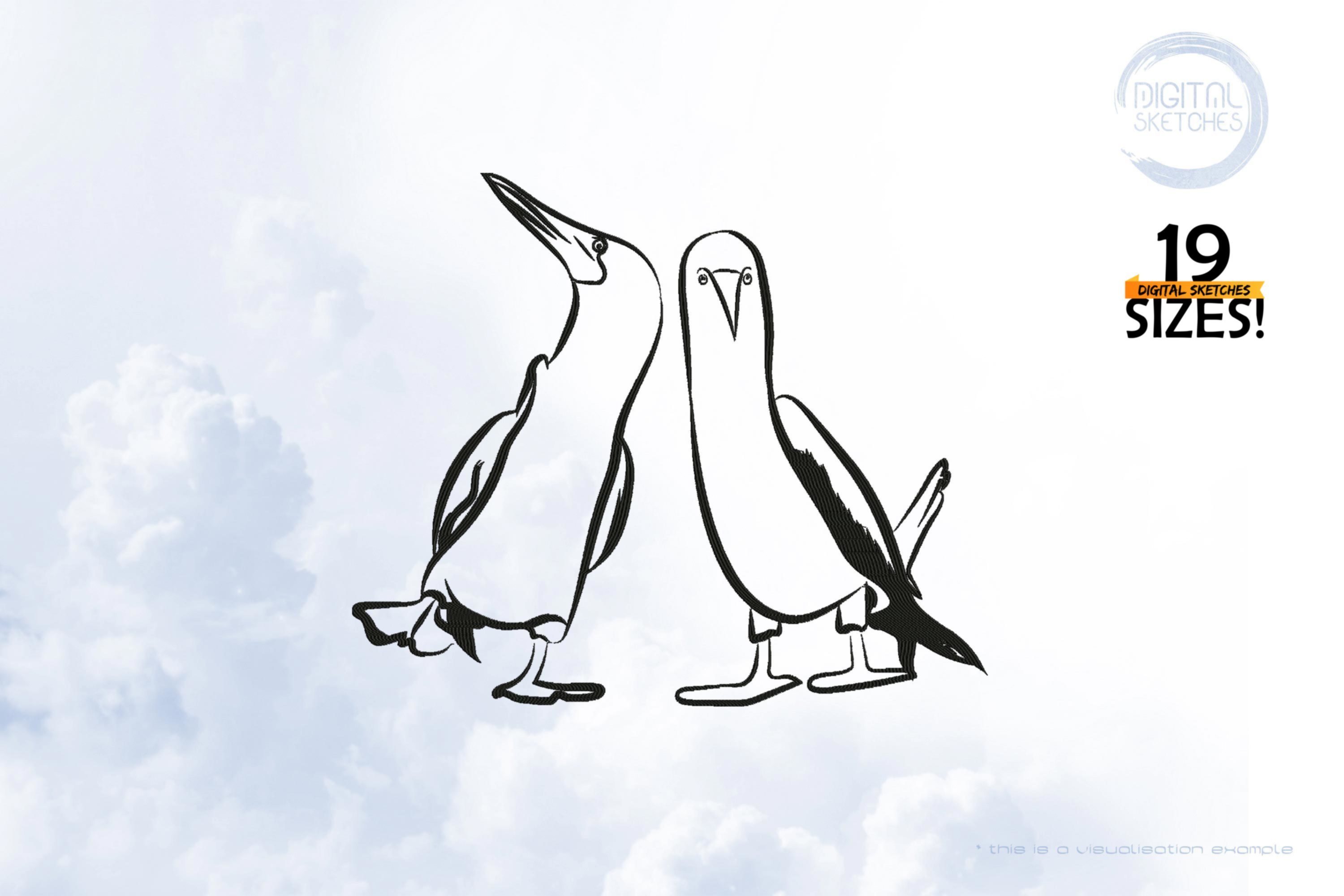 Seabird Booby Sketch