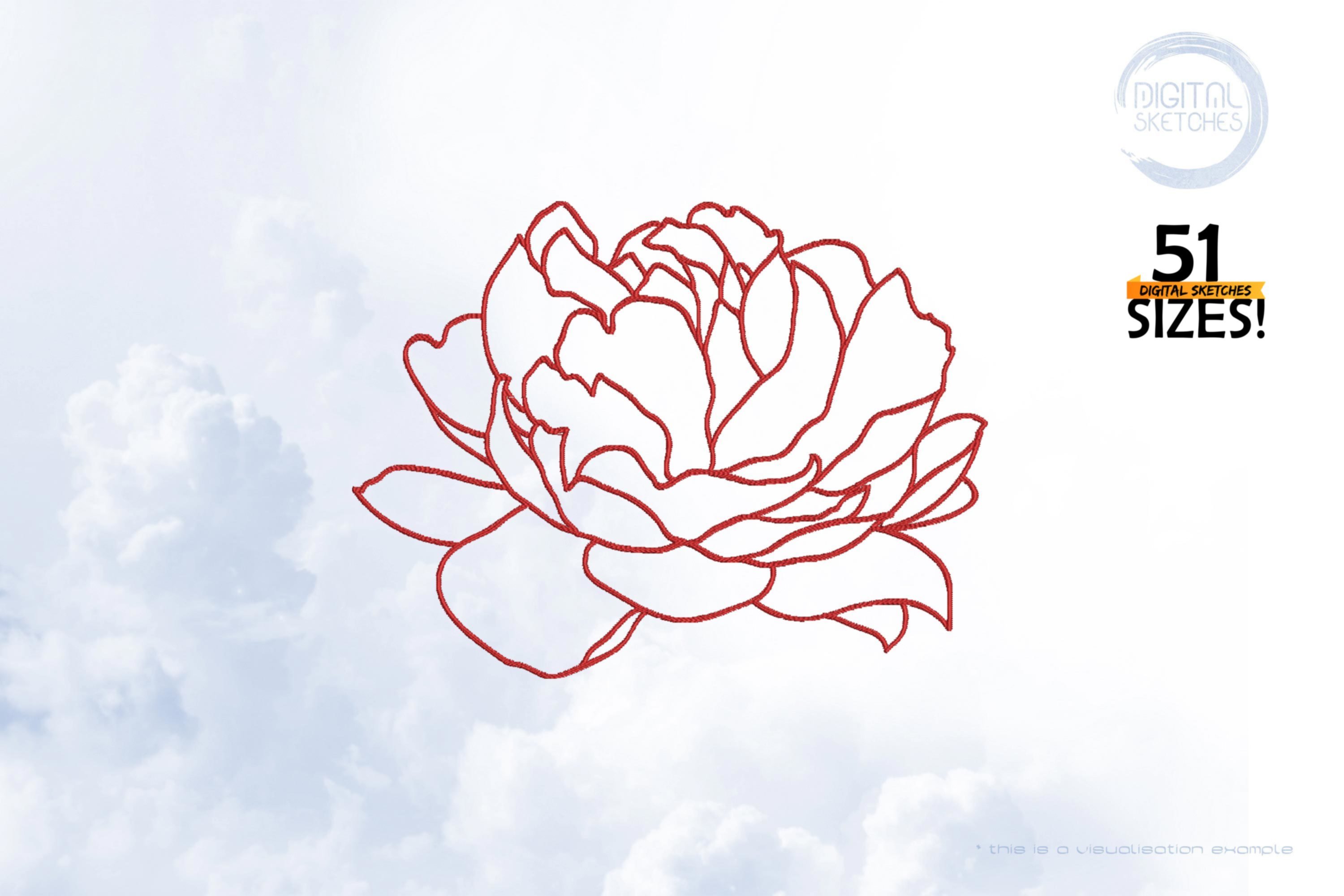 Flower Paeonia Line Art