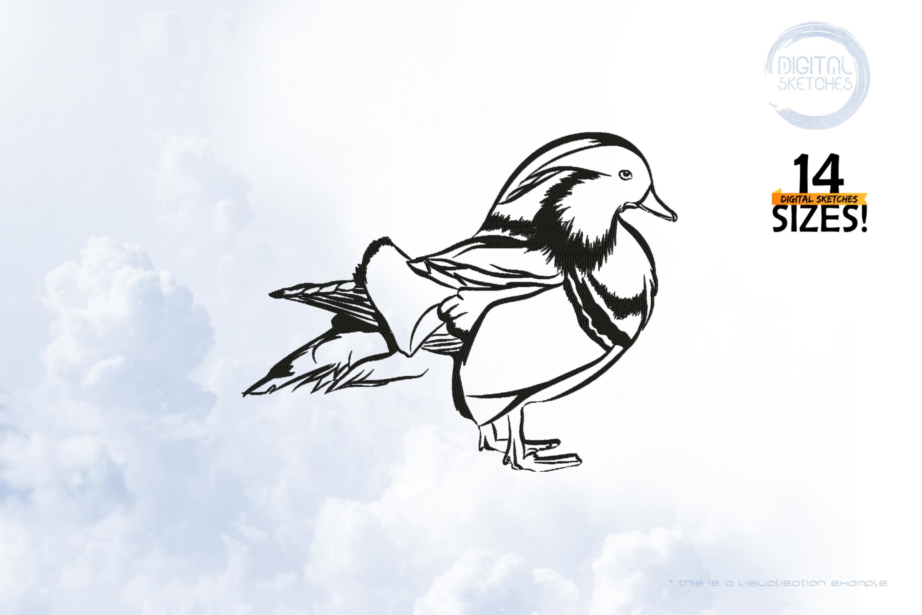 Duck Bird Sketch