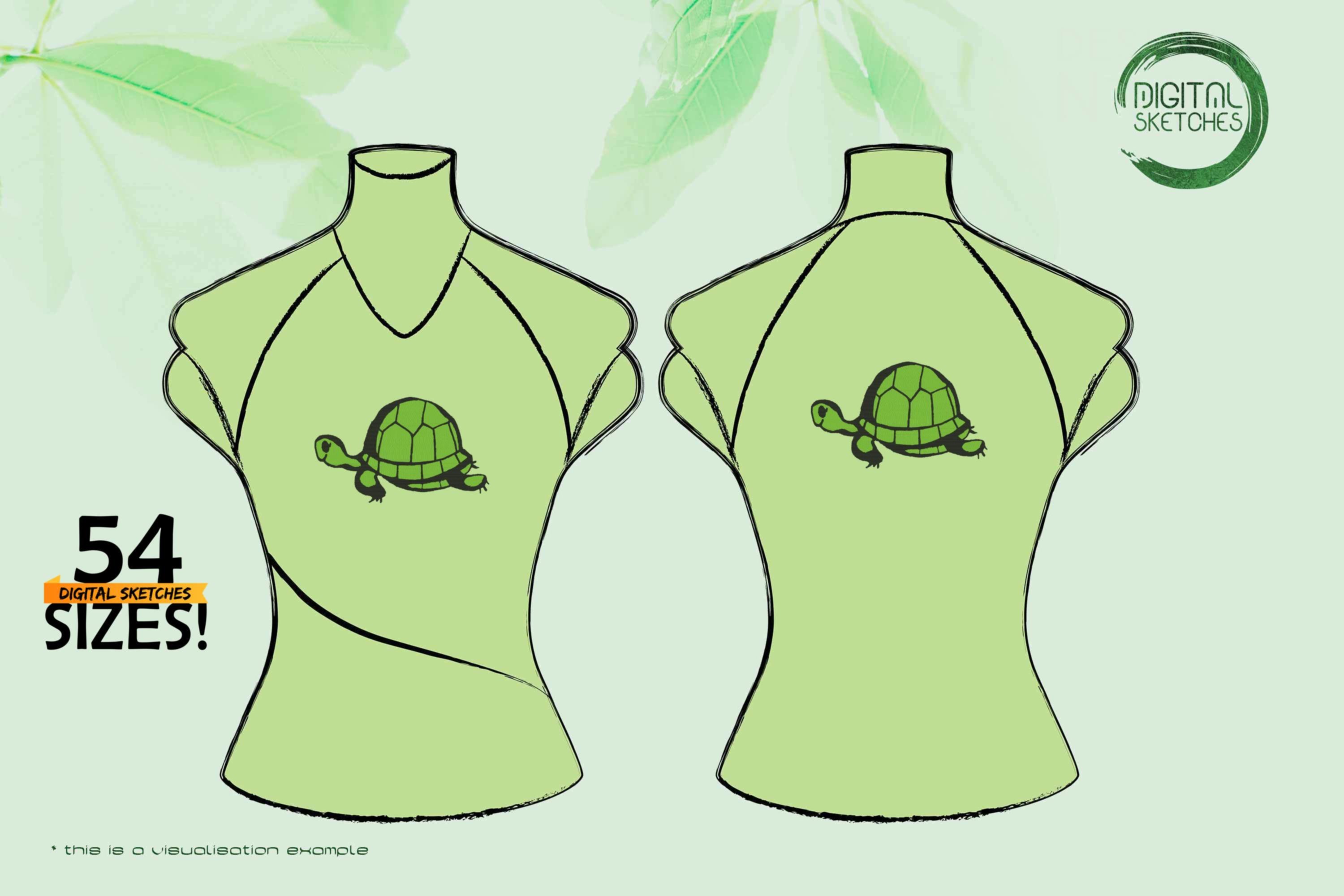 Hand-Drawn Turtle
